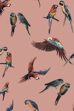 鹦鹉印花华亿平台图片