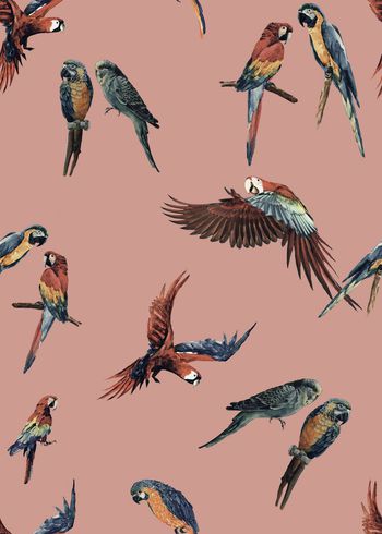 鹦鹉印花华亿平台图片