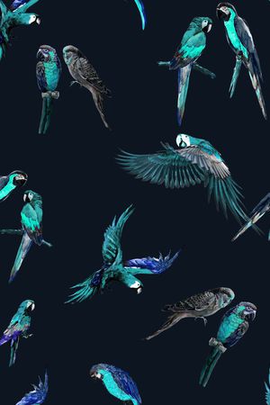 鹦鹉印花华亿平台图片