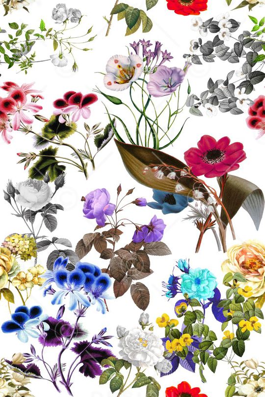 女装印花华亿平台图片