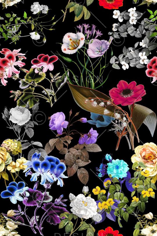 女装印花华亿平台图片