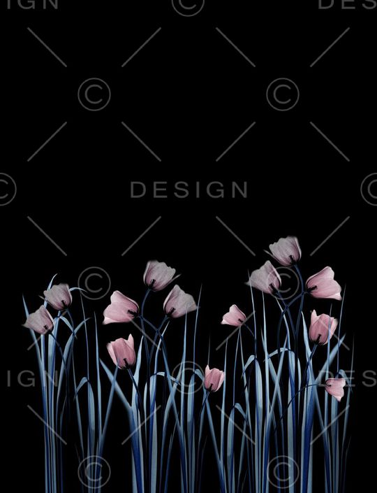 女装连衣裙印花华亿平台图片