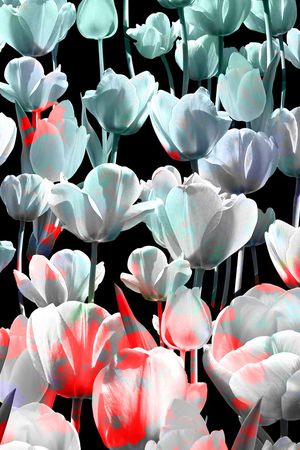 乱花印花华亿平台图片