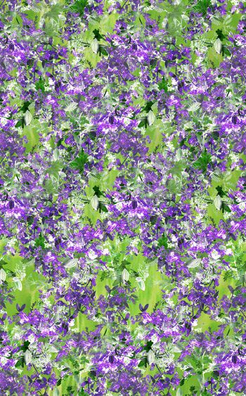 654685-wa-ml-1111-1副本