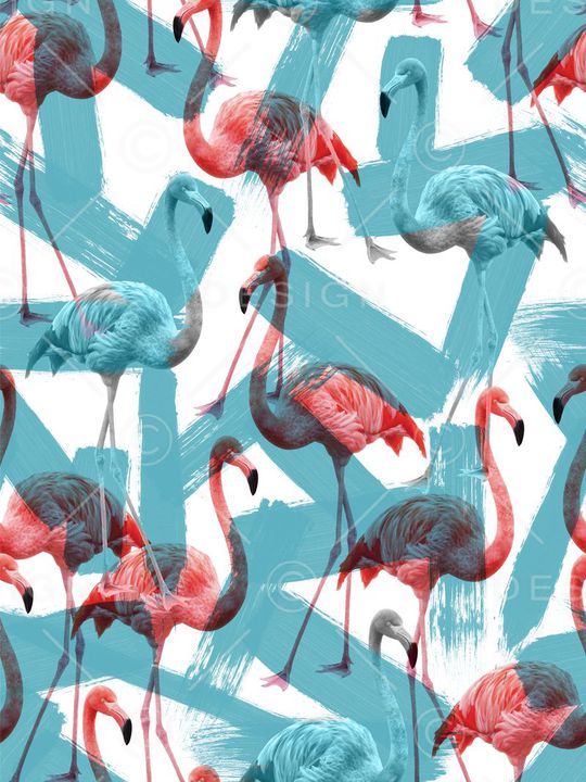 涂鸦笔刷鸟印花华亿平台图片