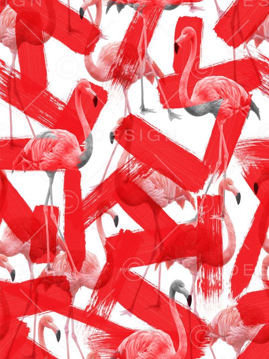 涂鸦笔刷鸟印花华亿平台图片