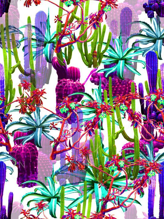 热带印花华亿平台图片