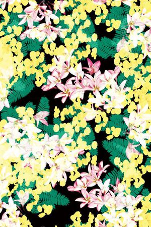 雨林密踪印花华亿平台图片