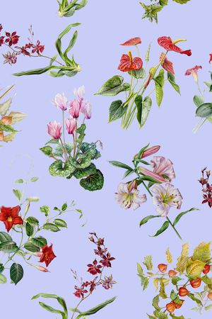 植物花卉印花华亿平台图片