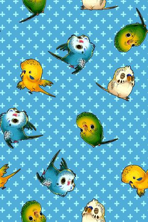 鹦鹉印花华亿平台图片