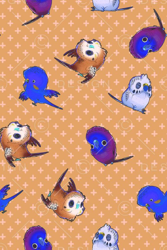 鹦鹉印花华亿平台图片