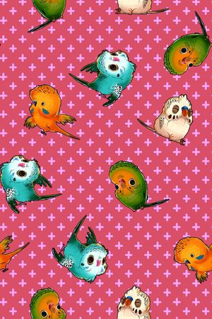 鹦鹉印花华亿平台图片