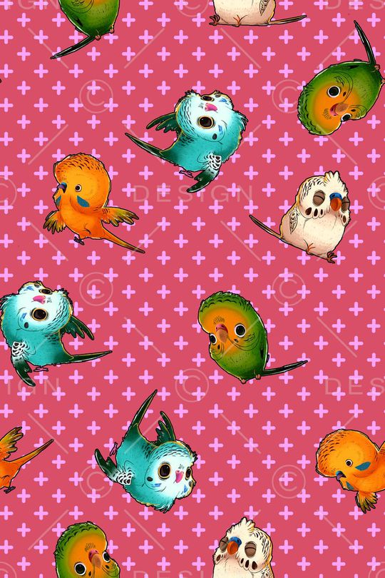 鹦鹉印花华亿平台图片