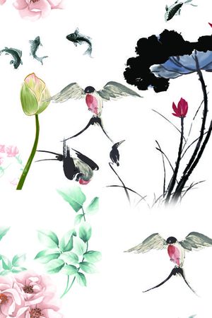 莫妮卡-女装华亿平台印花华亿平台图片