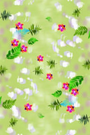 女装长裙印花华亿平台图片