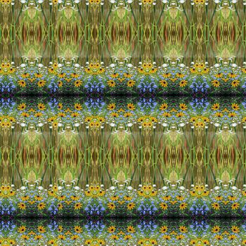 656668-野花野草咔