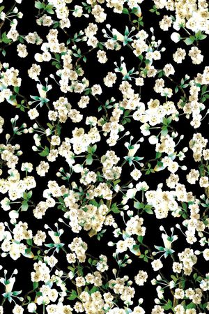 热带印花华亿平台图片