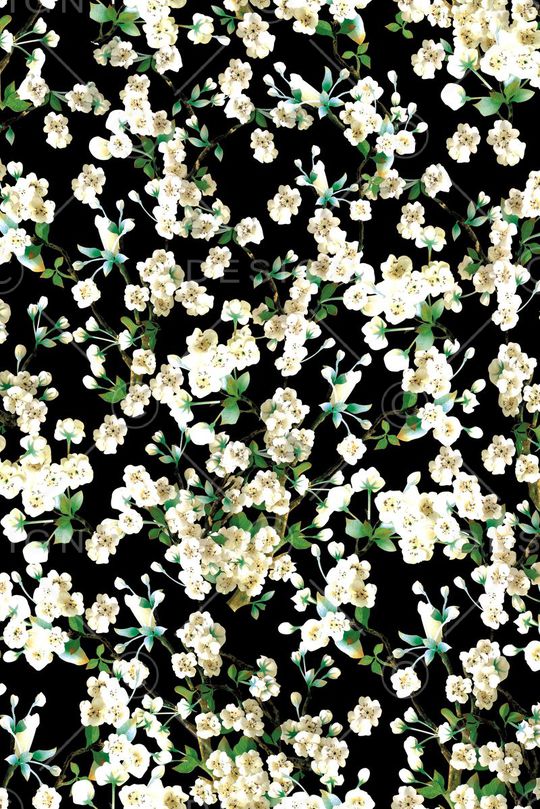 热带印花华亿平台图片