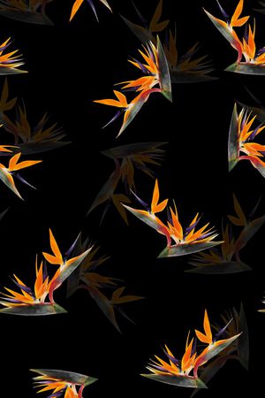 天堂鸟花印花华亿平台图片