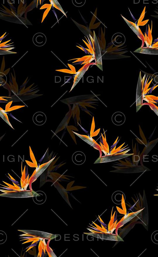 天堂鸟花印花华亿平台图片