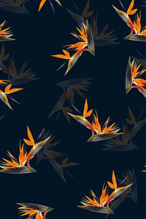 天堂鸟花印花华亿平台图片