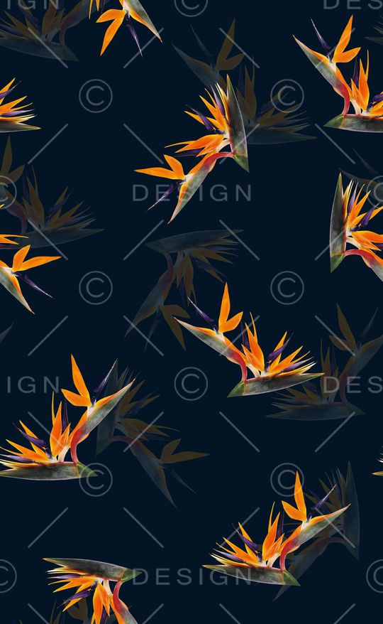 天堂鸟花印花华亿平台图片