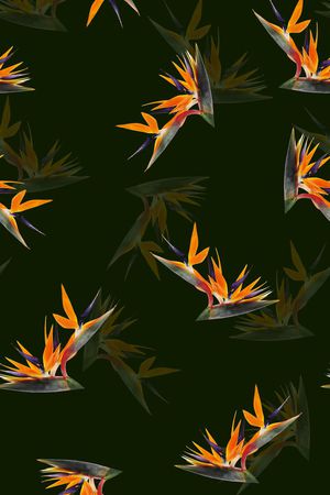 天堂鸟花印花华亿平台图片