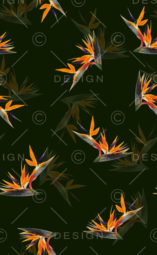 天堂鸟花印花华亿平台图片