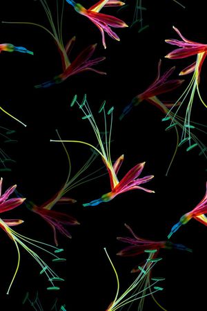 时尚抽象彩绘花卉数码印花印花华亿平台图片