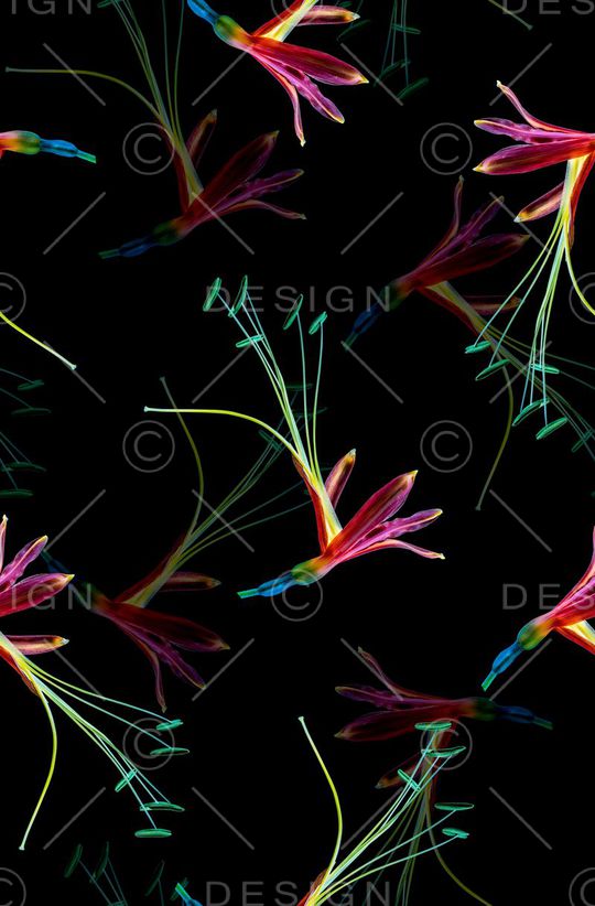 时尚抽象彩绘花卉数码印花印花华亿平台图片