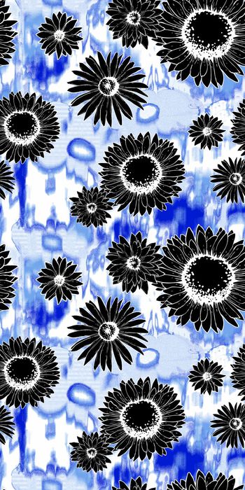 657968-时尚雏菊太阳花 Daisy