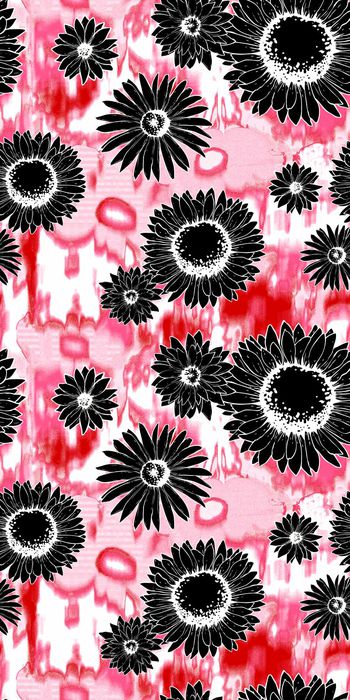 657969-时尚雏菊太阳花 Daisy-2