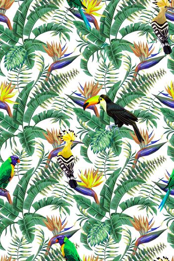 658078-热带 植物花鸟 鹦鹉--2