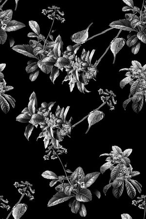 时尚男装印花华亿平台图片