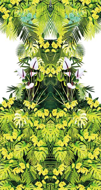 658088-热带雨林-A