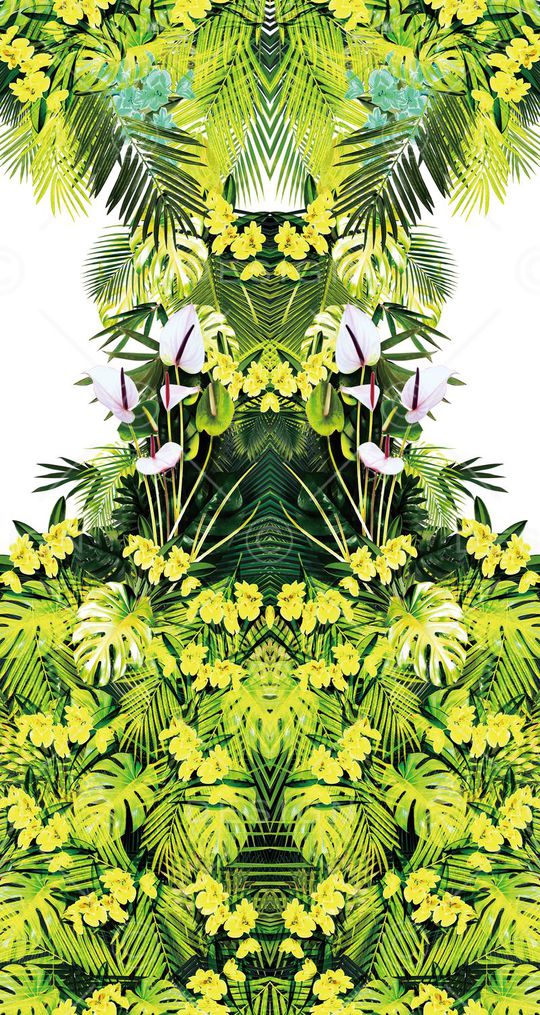 雨林密踪印花华亿平台图片