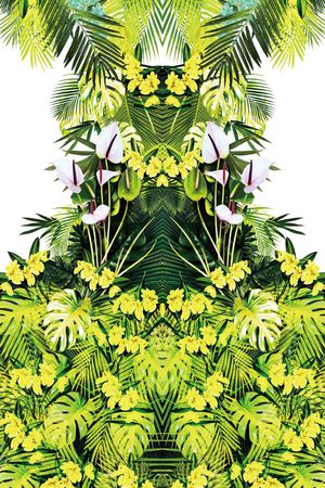 雨林密踪印花华亿平台图片