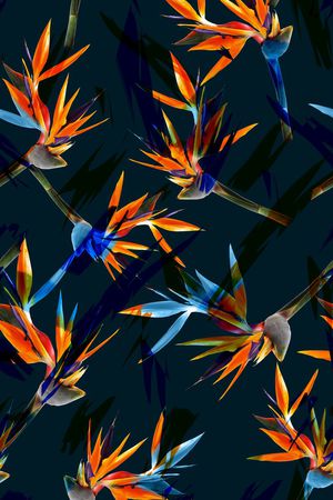 比基尼印花华亿平台图片