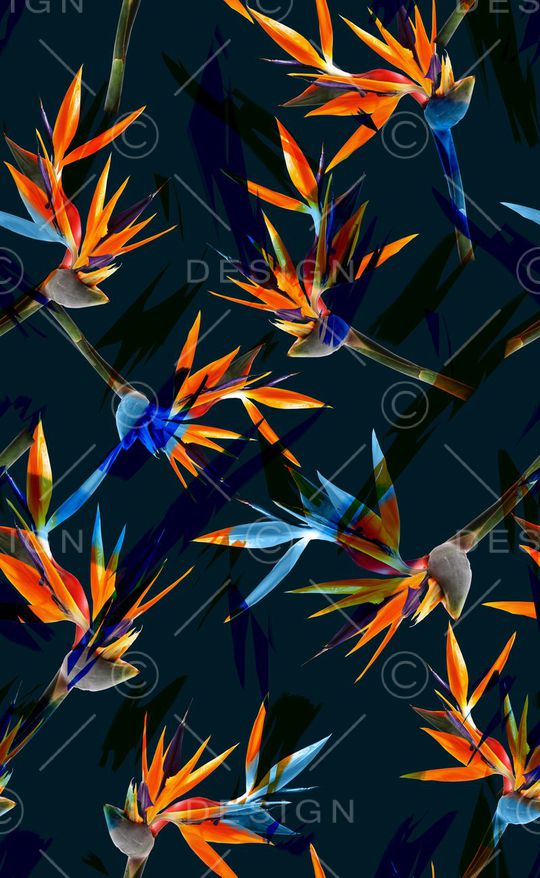 比基尼印花华亿平台图片