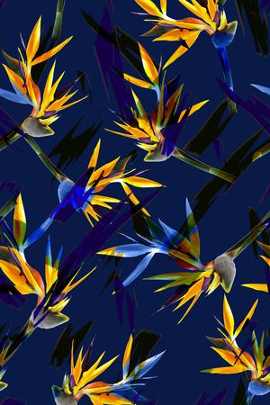 比基尼印花华亿平台图片