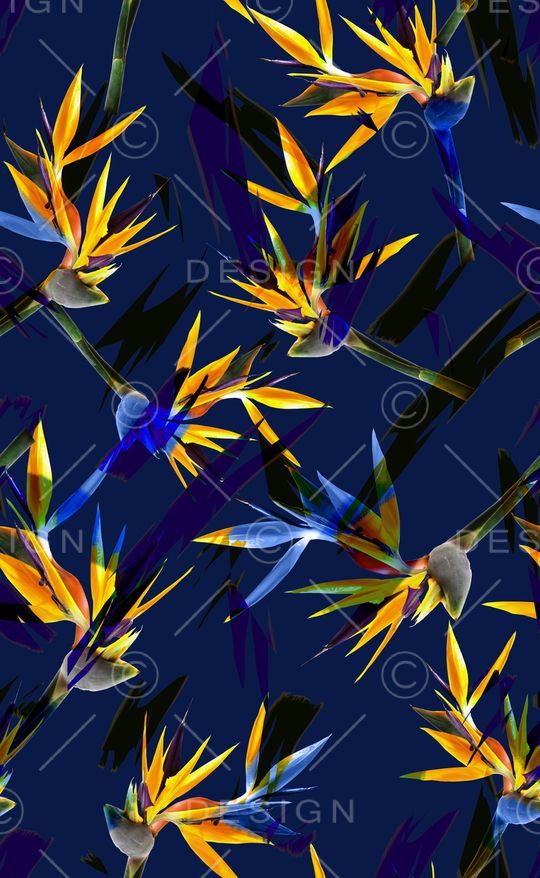 比基尼印花华亿平台图片