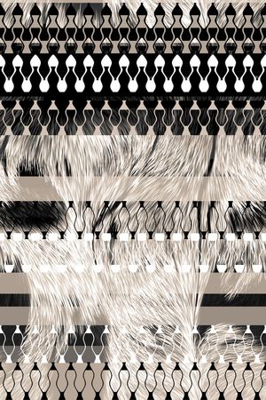 羽毛印花华亿平台图片