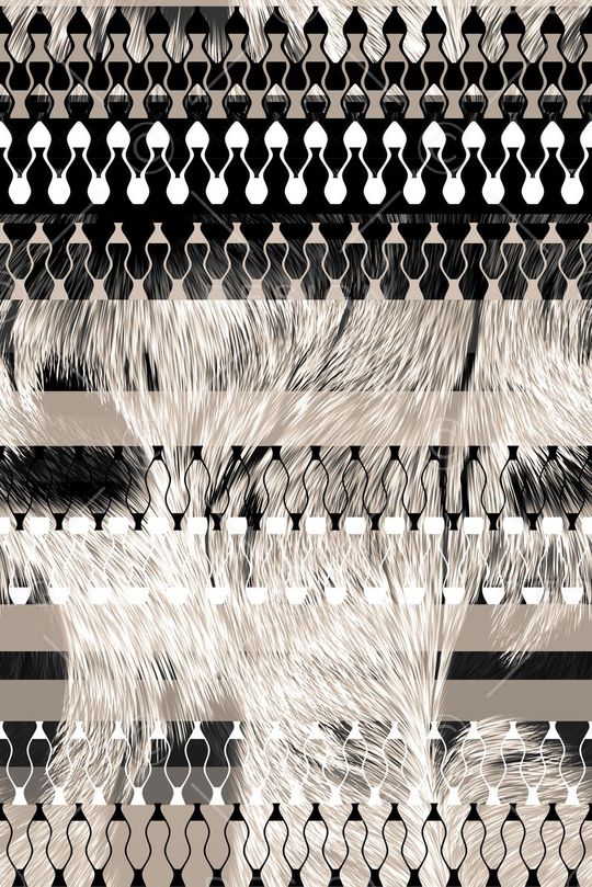 羽毛印花华亿平台图片