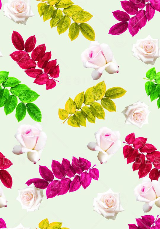 树叶印花华亿平台图片