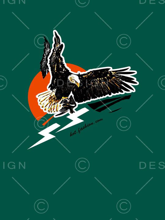 老鹰印花华亿平台图片