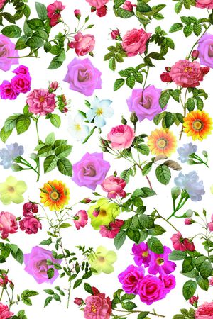 玫瑰印花华亿平台图片