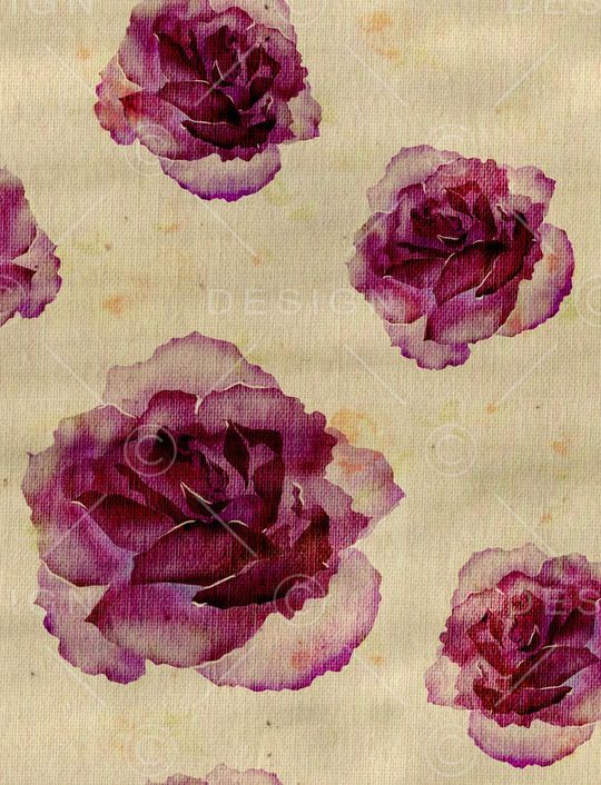 牡丹印花华亿平台图片