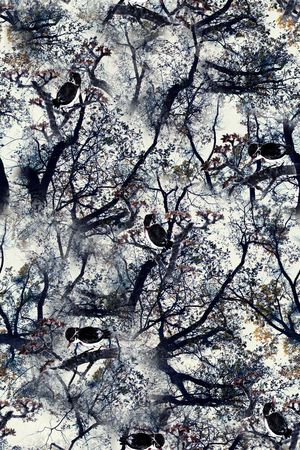 鸟印花华亿平台图片