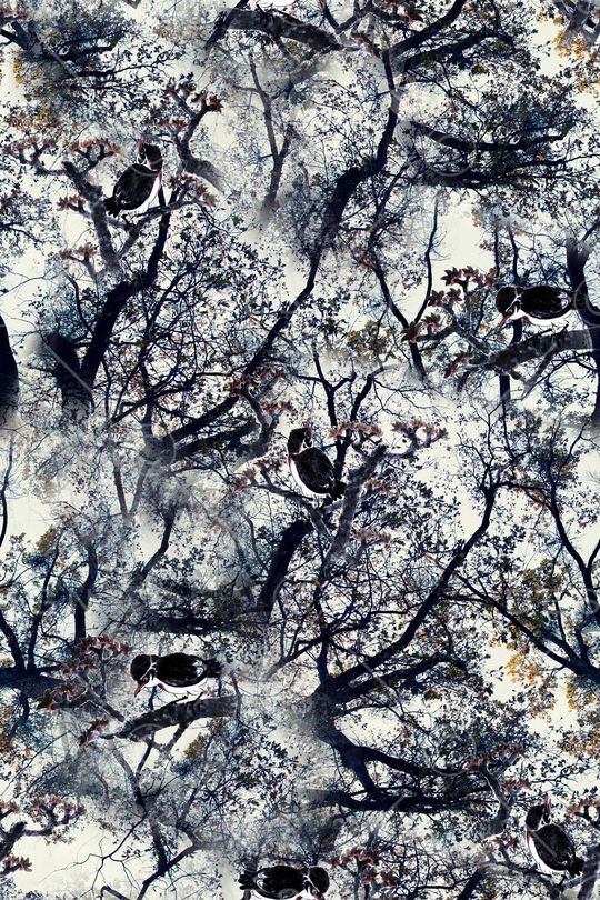 鸟印花华亿平台图片