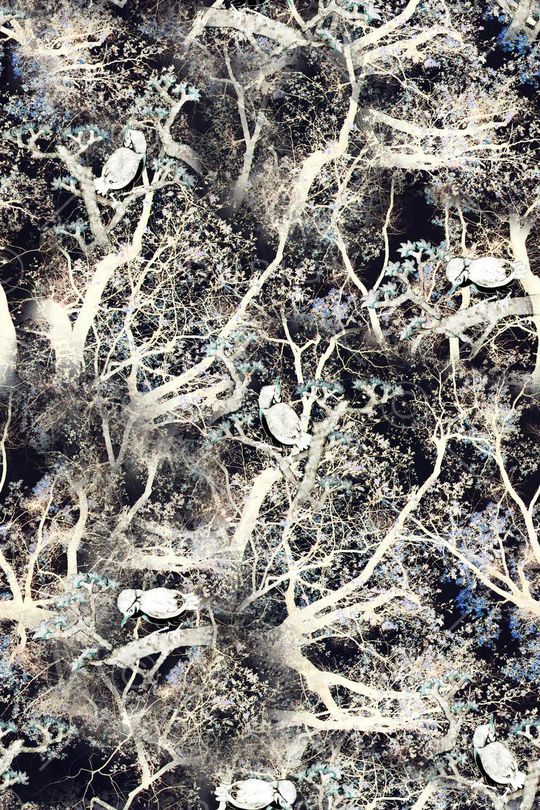 鸟印花华亿平台图片